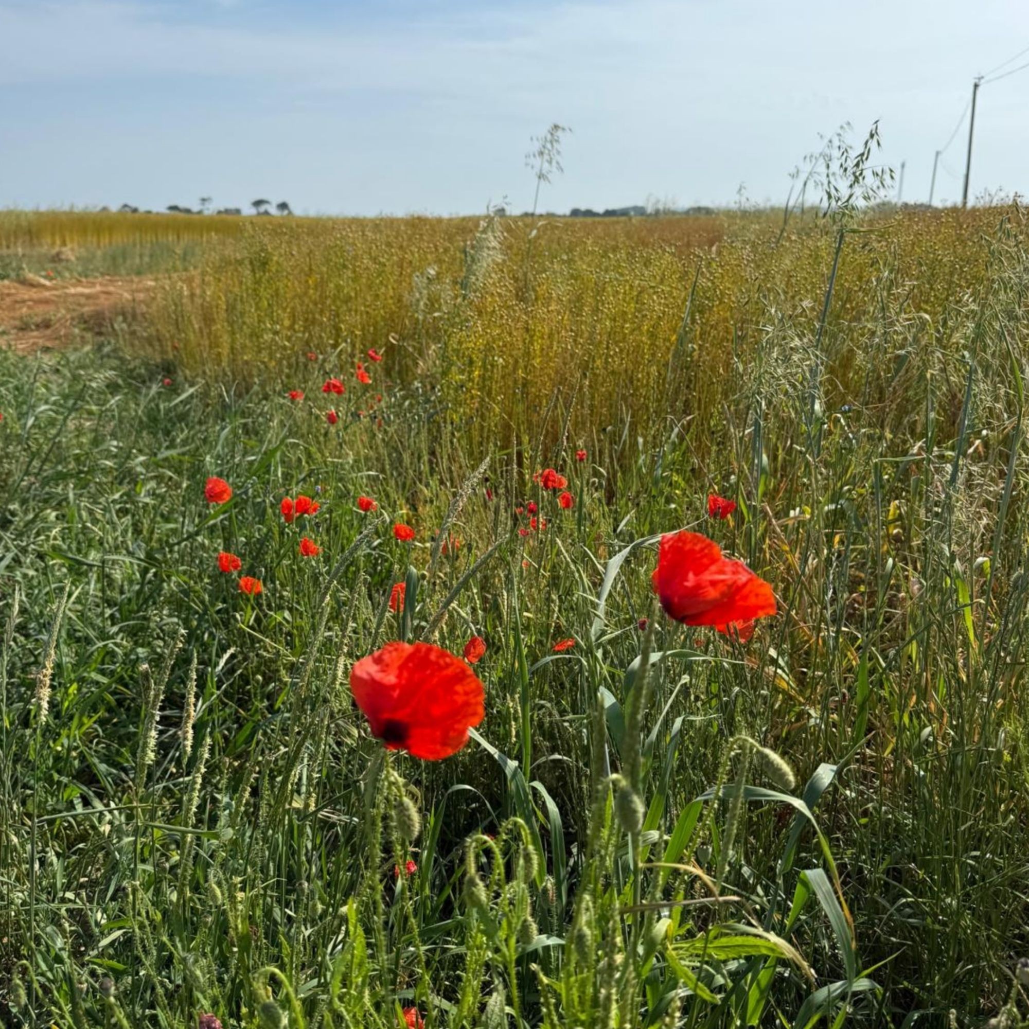 Photo_article_2_Aimer_c_est_parfois_bousculer